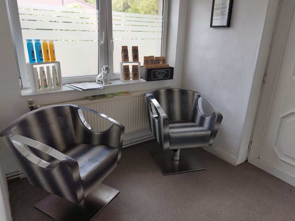 Kundenwartebereich mit zwei Design-Sesseln im Salon